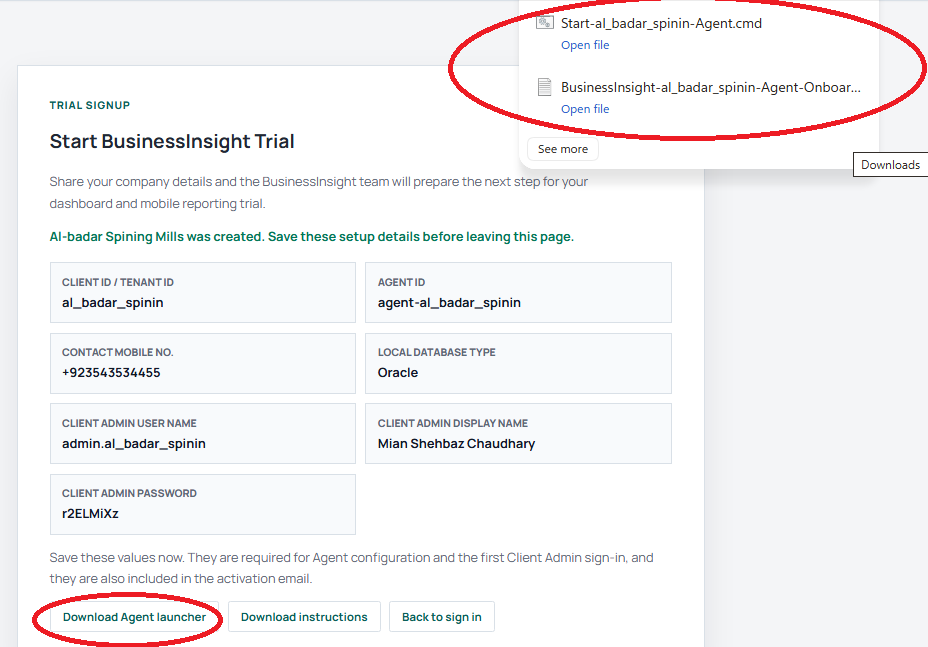 Browser download list showing the BusinessInsight Agent launcher file